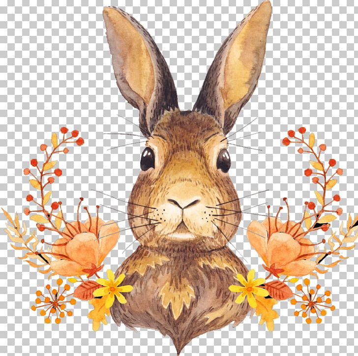 Autumn Leaf Color Harvest Thanksgiving PNG, Clipart, Animals, Art, Autumn, Bunny, Color Free PNG Download