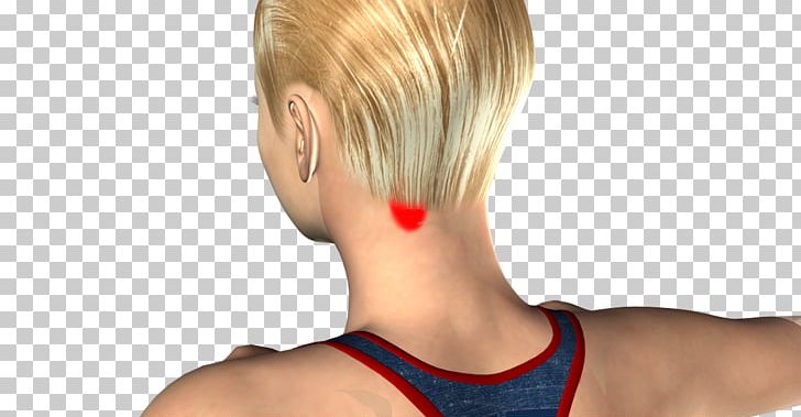 Blond Hair Coloring Pixie Cut Bangs Bob Cut PNG, Clipart, Ache, Active Undergarment, Arm, Back, Bangs Free PNG Download