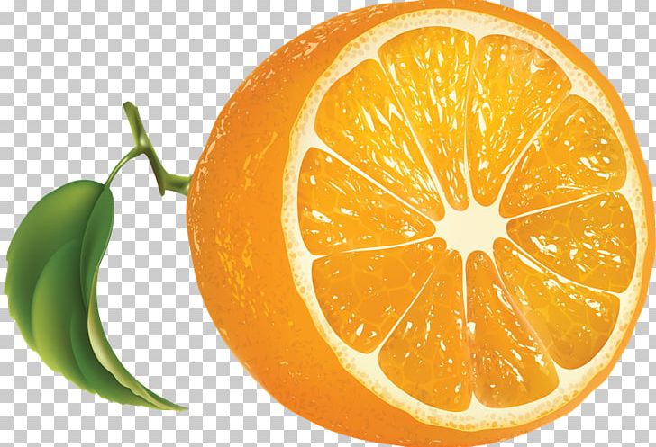 Orange Juice PNG, Clipart, Bitter Orange, Citric Acid, Citrus, Clementine, Computer Icons Free PNG Download
