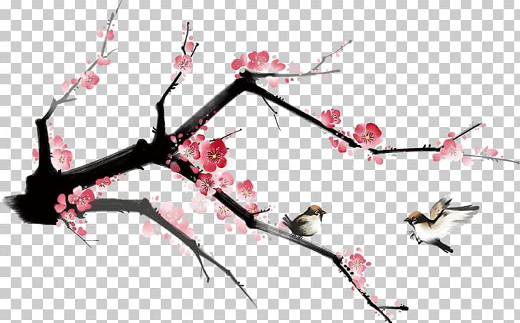 Plum Blossom Petal Flower PNG, Clipart, Bird, Branch, Branches, Designer, Flower Free PNG Download