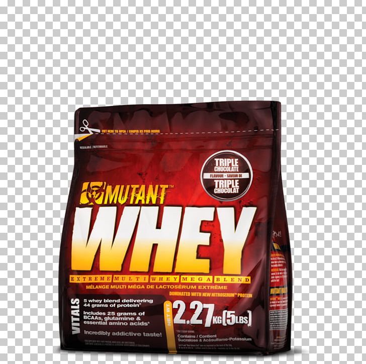 Dietary Supplement Whey Protein Bodybuilding Supplement PNG, Clipart, Bodybuilding Supplement, Branchedchain Amino Acid, Brand, Dietary Supplement, Gainer Free PNG Download