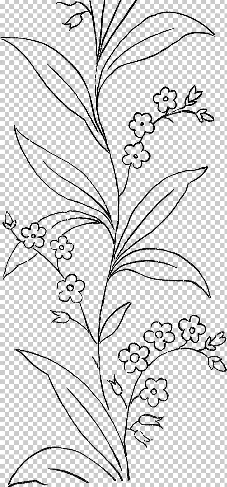 Black And White Leaf Line Art Drawing Coloring Book PNG, Clipart, Area, Art, Black And White, Branch, Coloring Book Free PNG Download