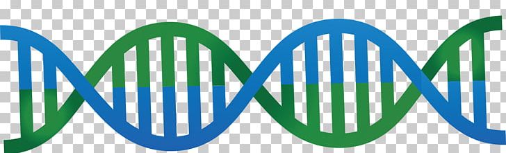 DNA Nucleic Acid Double Helix Euclidean PNG, Clipart, Background Green,  Blue, Blue Abstract, Cartoon, Graphics Vector