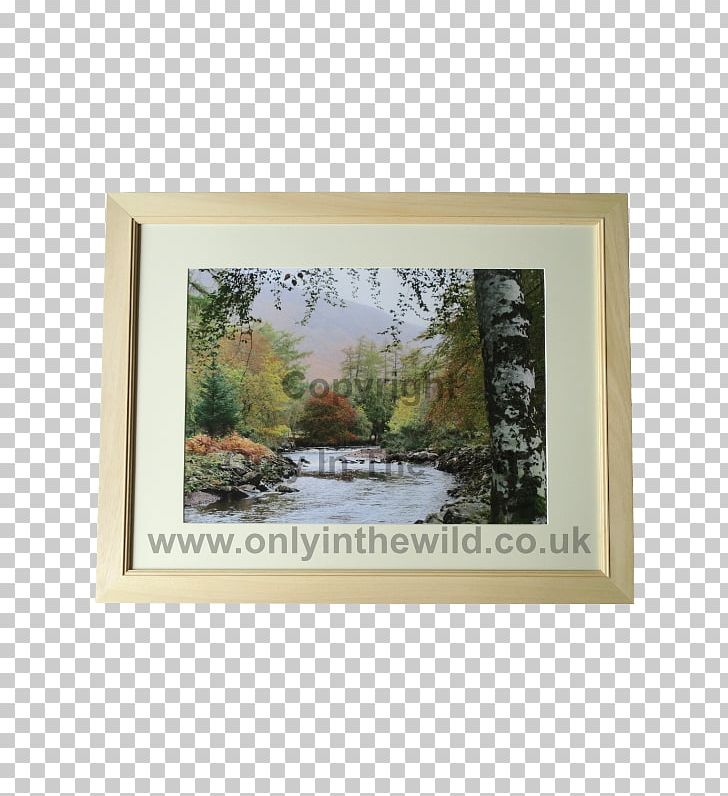 Frames Watercolor Painting Mat PNG, Clipart, Art, Desktop Wallpaper, Landscape Painting, Mat, Paint Free PNG Download