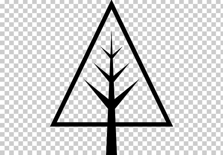 Pine Computer Icons Tree Christmas PNG, Clipart, Angle, Black And White, Christmas, Christmas Tree, Computer Icons Free PNG Download
