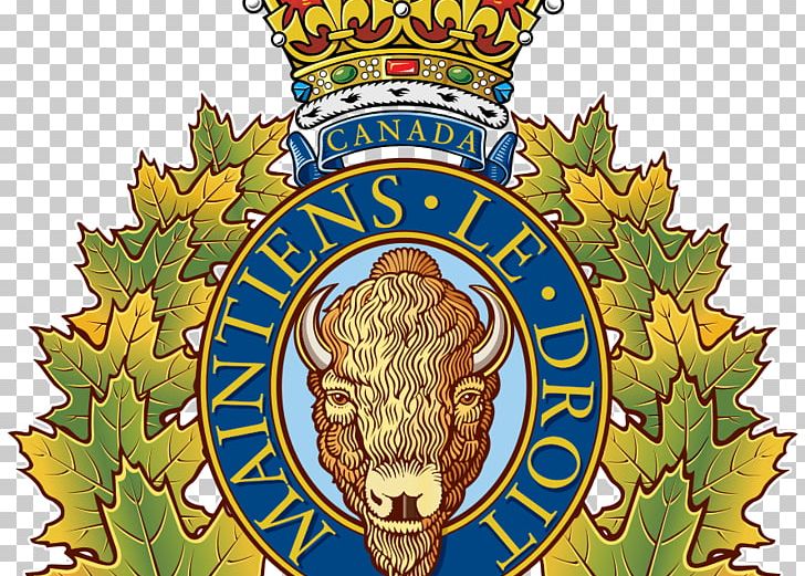 Royal Canadian Mounted Police (RCMP) Burnaby RCMP Arrest PNG, Clipart, Arrest, Canada, Canadian, Happy Valleygoose Bay, Law Enforcement Agency Free PNG Download