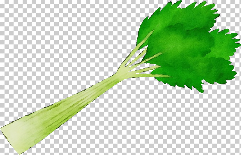 Leaf Plant Stem Leaf Vegetable Gardening Leaf Celery PNG, Clipart, Beefsteak Plant, Budi Daya, Celery, Gardening, Key Tab Pack Of Free PNG Download