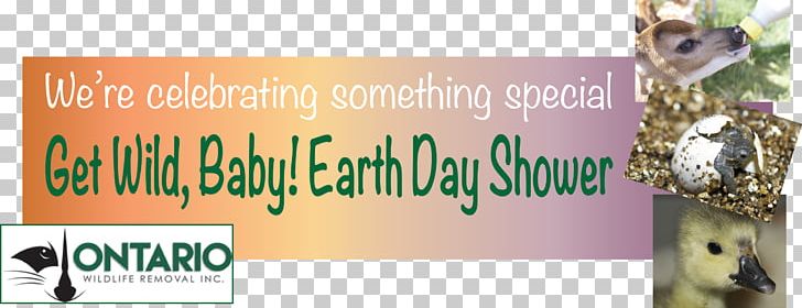 Brand PNG, Clipart, Advertising, Banner, Brand, Earth, Earth Day Free PNG Download