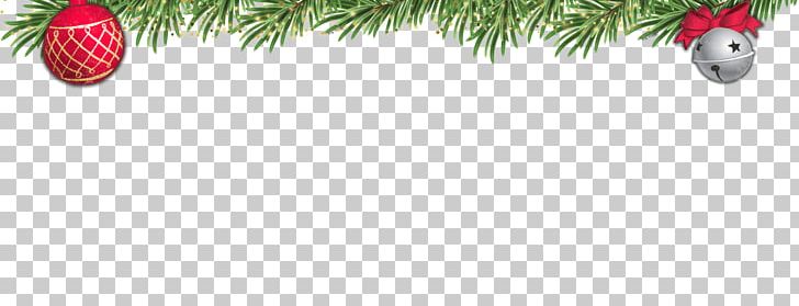 Christmas Tree Fir Christmas Ornament PNG, Clipart, Branch, Christmas, Christmas Decoration, Christmas Ornament, Christmas Tree Free PNG Download