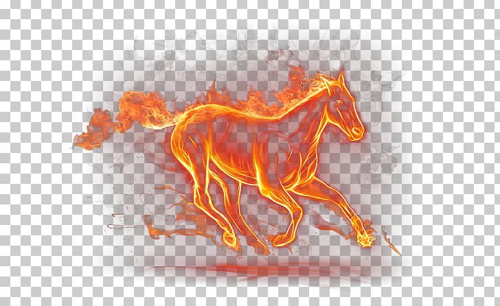 Horse Pony Llama Flame Gallop PNG, Clipart, Animal, Animals, Caballo, Computer Wallpaper, Coreldraw Free PNG Download