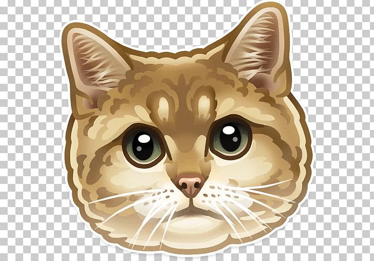 Kitten Whiskers Tabby Cat Sticker PNG, Clipart, Animal, Animals, Carnivoran, Cat Like Mammal, Domestic Free PNG Download