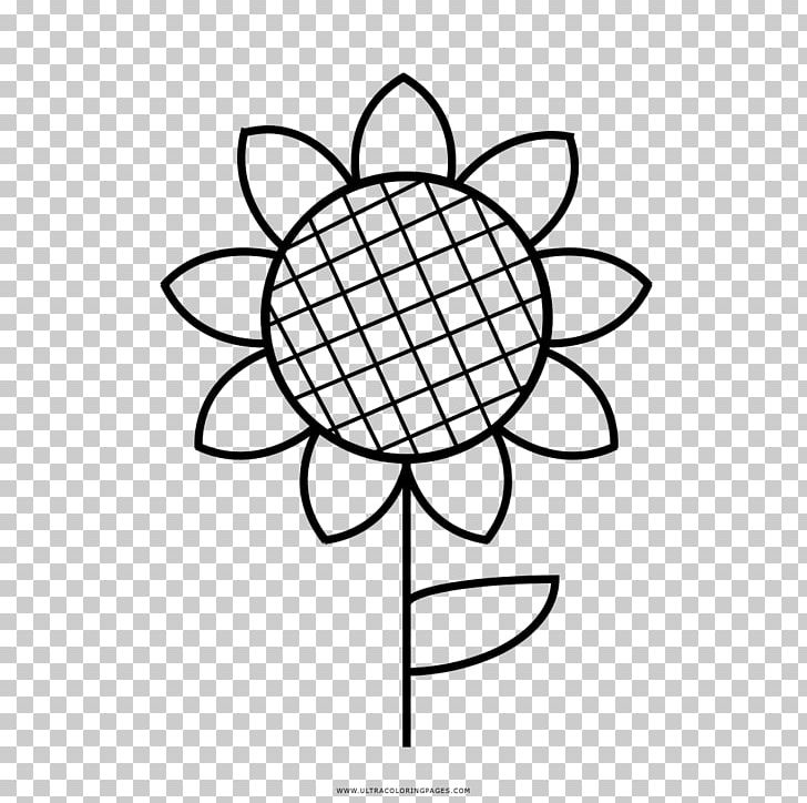 Coloring Book Common Sunflower Drawing Red Sunflower PNG, Clipart, Area, Ausmalbild, Black And White, Book, Child Free PNG Download