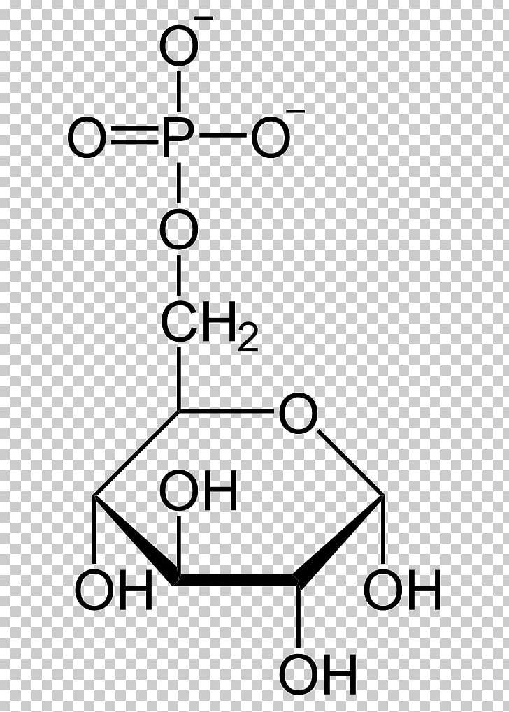 Glucose Molecule Organic Compound Organic Chemistry Fructose PNG, Clipart, Amylose, Angle, Anomer, Area, Black And White Free PNG Download