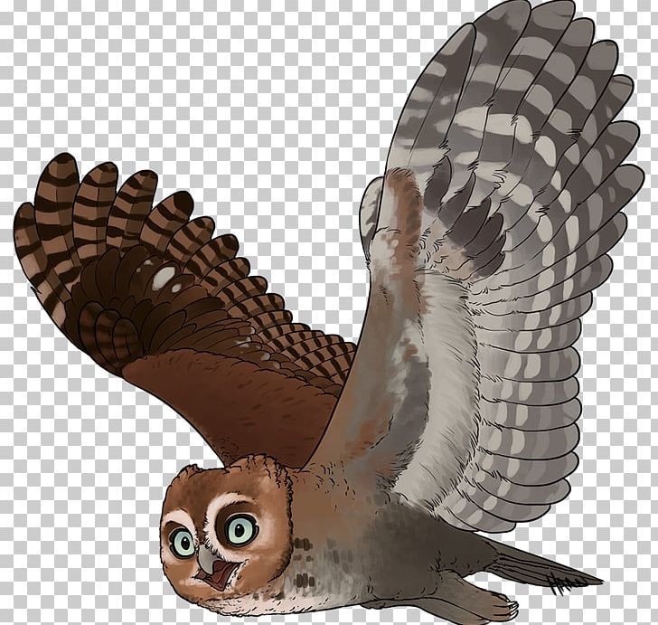 Owl Fauna Beak Feather PNG, Clipart, Animals, Beak, Bird, Bird Of Prey, Fauna Free PNG Download
