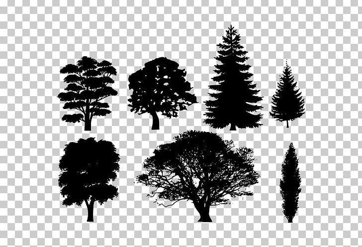Tree Pine PNG, Clipart, Art, Black And White, Branch, Cdr, Christmas Tree Free PNG Download
