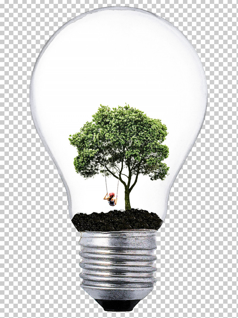 Light Bulb PNG, Clipart, Flower, Flowerpot, Grass, Green, Houseplant Free PNG Download
