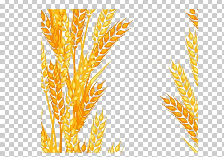 Animation PNG, Clipart, Abstract Pattern, Background, Background Pattern, Barley, Cartoon Free PNG Download