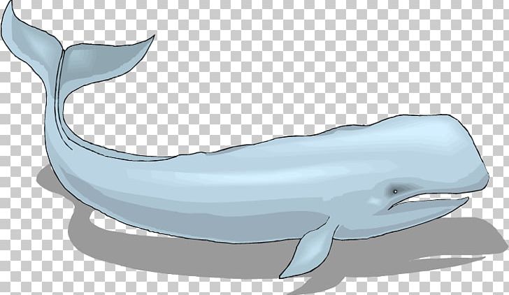 Common Bottlenose Dolphin Tucuxi Rough-toothed Dolphin Wholphin White-beaked Dolphin PNG, Clipart, Animaatio, Bottlenose Dolphin, Cetacea, Emoticon, Fauna Free PNG Download