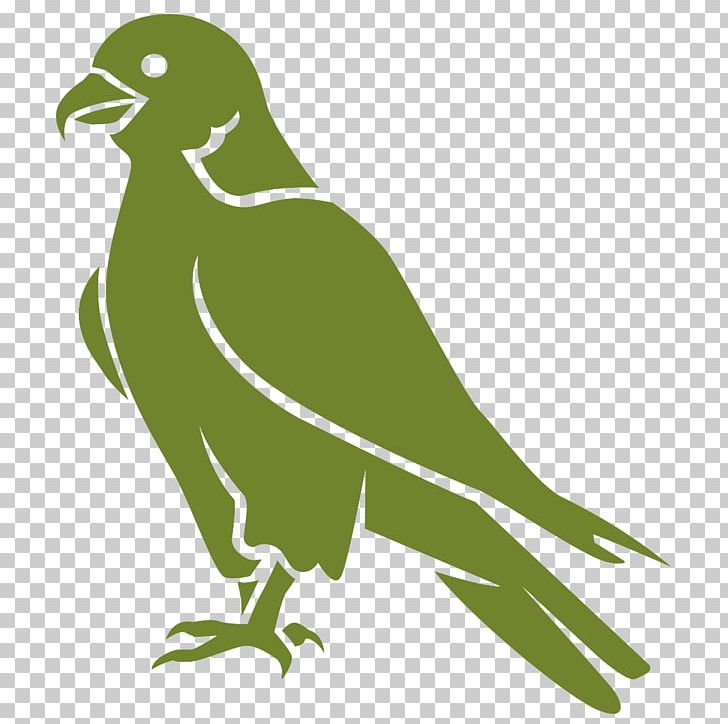 Illustration Graphics Euclidean PNG, Clipart, Amphibian, Beak, Bird, Bird Of Prey, Copyright Free PNG Download