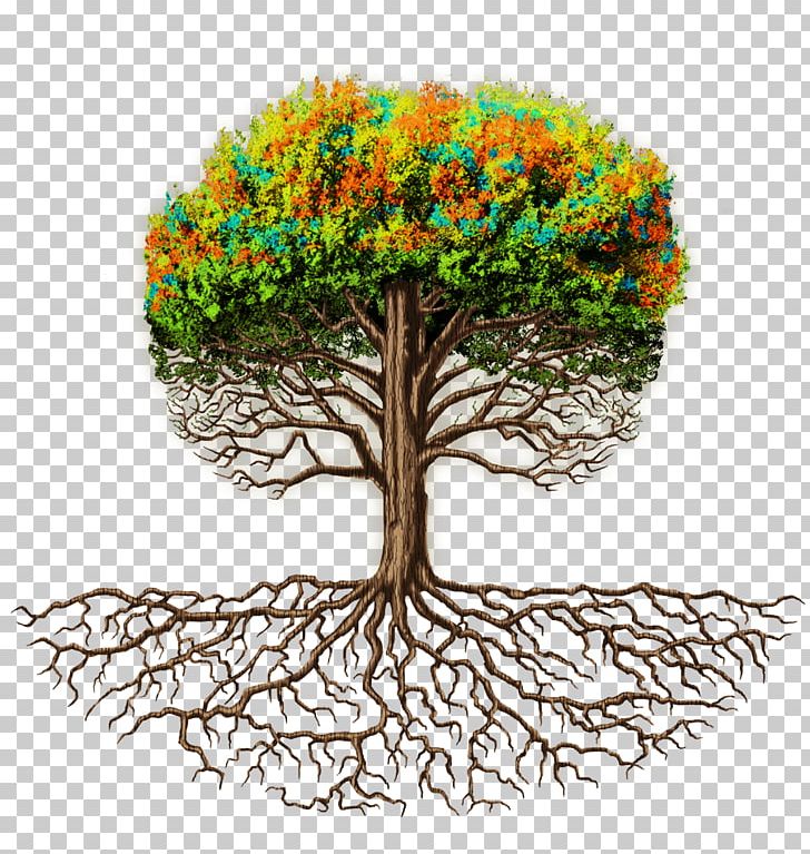 Branch Root Tree Trunk Flowerpot PNG, Clipart, Branch, Business, Concept, Customer, Experience Free PNG Download