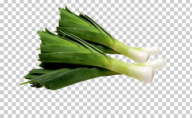 Leek Vegetable Vinaigrette Garlic Food PNG, Clipart, Chives, Choy Sum, Coriander, Daikon, Food Free PNG Download