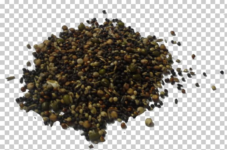 Seed Germination Silicon Silane Powder PNG, Clipart, Archimedes Labs, Aviary, Bean, Bird, Cage Free PNG Download