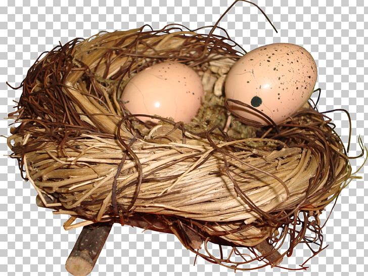 Bird Nest Egg PNG, Clipart, Animals, Ant Nest, Bird, Bird Egg, Bird Nest Free PNG Download