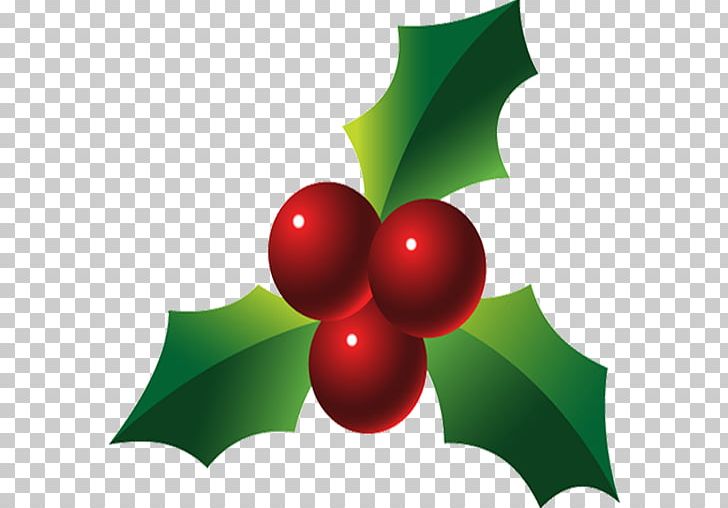 Holly PNG, Clipart, Aquifoliaceae, Aquifoliales, Art Illustration, Christmas, Christmas Ornament Free PNG Download