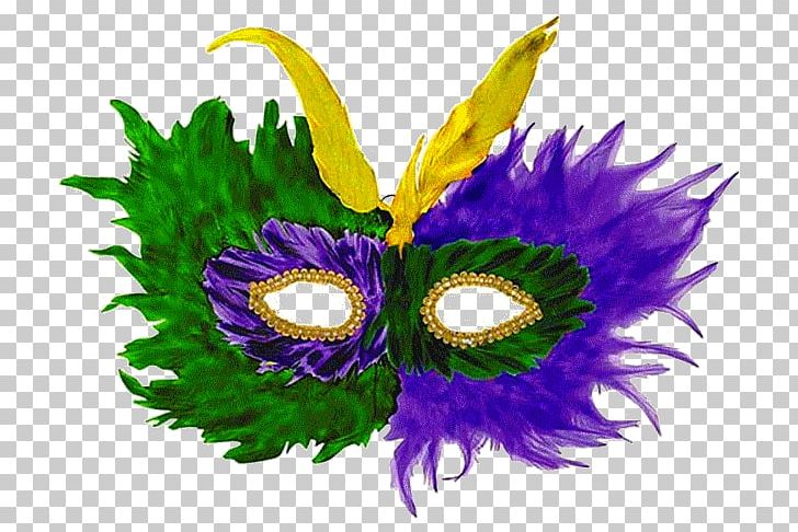 Mardi Gras Flower Mask PNG, Clipart, Feather, Flower, Mardi Gras, Mask, Purple Free PNG Download
