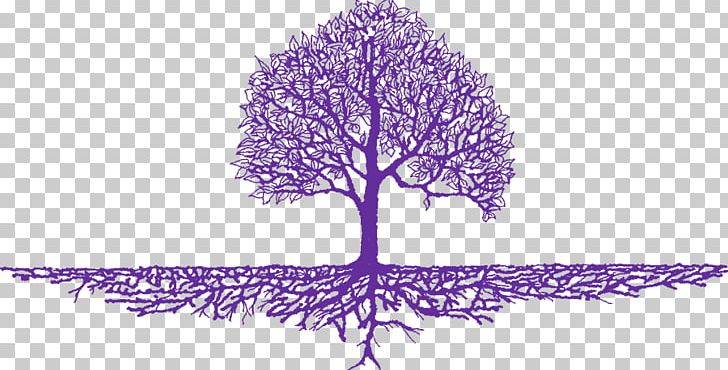 Tattoo Open Root Tree PNG, Clipart, Branch, Computer Icons, Drawing, Flower, Flowering Plant Free PNG Download