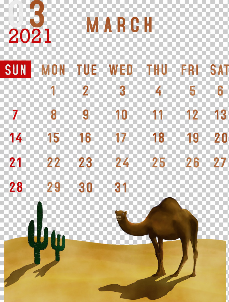 Lunar Calendar Font Meter Calendar System Month PNG, Clipart, 2021 Calendar, Biology, Calendar System, Line, Lunar Calendar Free PNG Download
