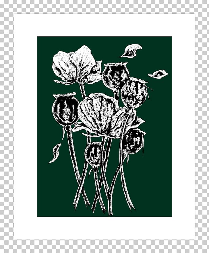Book Illustration Opium Poppy Visual Arts PNG, Clipart, Alamy, Art, Art Print, Black, Black And White Free PNG Download