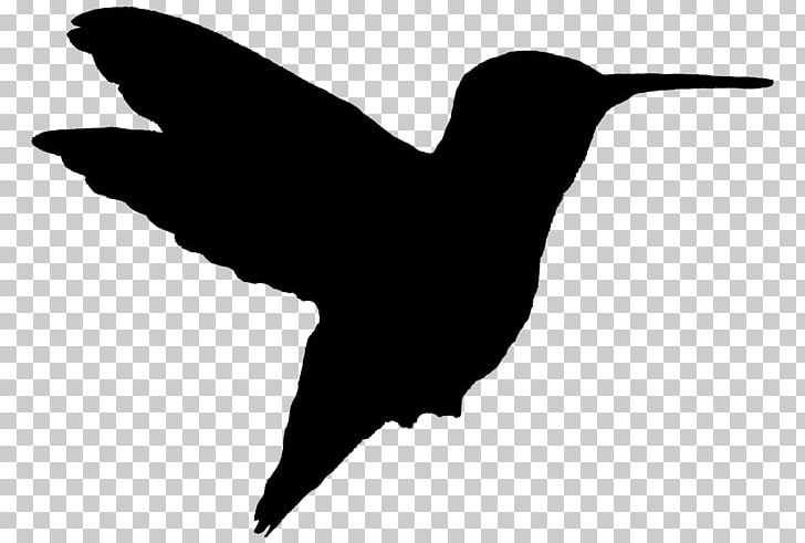 Hummingbird Woodpecker The Gardens At Calvary Silhouette PNG, Clipart, Animal, Animals, Animal Silhouettes, Art, Beak Free PNG Download