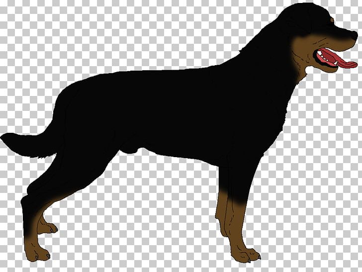Rottweiler PNG, Clipart, Attack Dog, Carnivoran, Dog, Dog Breed, Dog Breed Group Free PNG Download