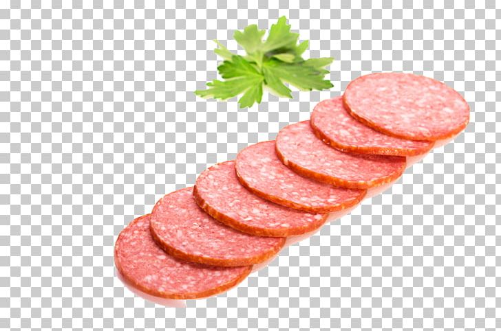 Salami Rookworst Bratwurst Mettwurst Breakfast PNG, Clipart, Animal Source Foods, Back Bacon, Beef, Bologna Sausage, Bratwurst Free PNG Download