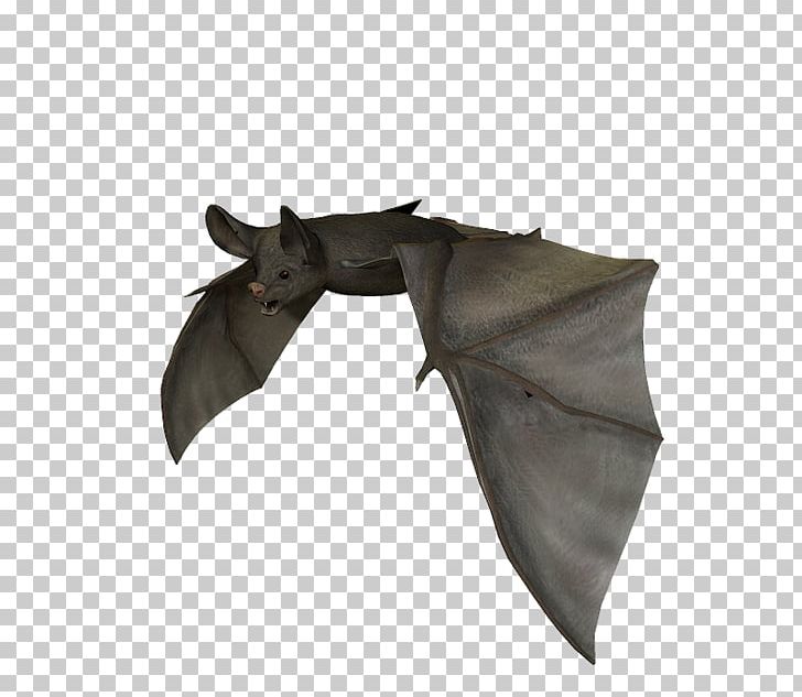 Bat Frog Art Stock Photography PNG, Clipart, Animals, Art, Bat, Bat Clipart, Batm Free PNG Download