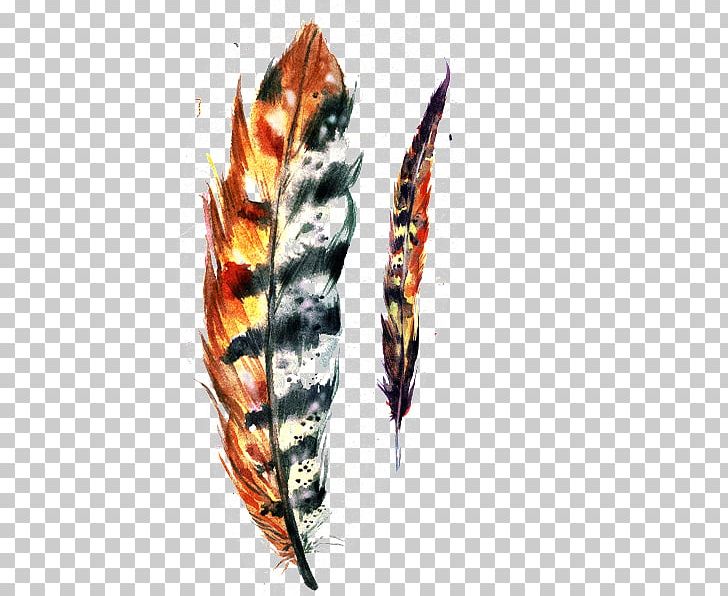 Feather Paper Drawing Illustration PNG, Clipart, Adobe Illustrator, Animals, Art, Claw, Crystal Cluster Free PNG Download