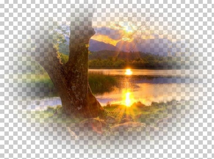 Blog Sunset Tree PNG, Clipart, Blog, Breaking, Breaking Dawn, Cartoon Lake Water, Cloud Free PNG Download