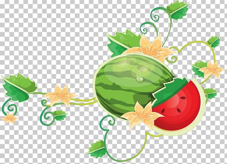 Common Grape Vine Watermelon PNG, Clipart, Common Grape Vine, Cucumber Gourd And Melon Family, Diet Food, Encapsulated Postscript, Flower Free PNG Download