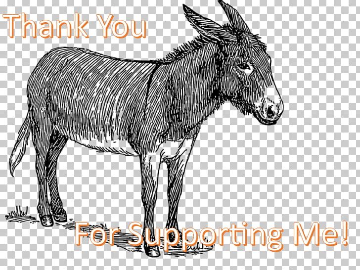 Donkey Mule Drawing Sketch Line Art PNG, Clipart, Animals, Art, Blanket, Cartoon, Donkey Free PNG Download