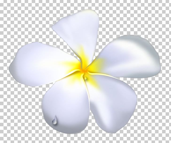 Flower Petal Drawing Temple PNG, Clipart, Art, Clip Art, Desktop Wallpaper, Deviantart, Digital Art Free PNG Download