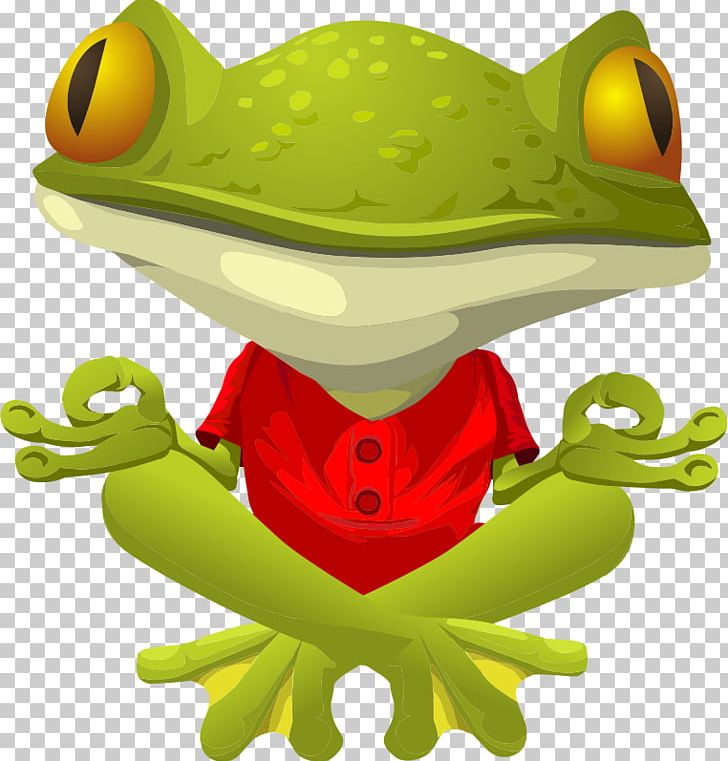 Frog Yoga PNG, Clipart, Amphibian, Australian Green Tree Frog, Clip Art, Drawing, Frog Free PNG Download