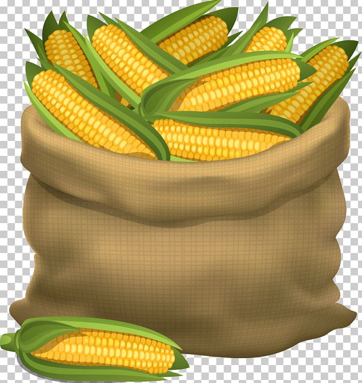 Maize Cornhole Gunny Sack Illustration PNG, Clipart, Bag, Baogu, Cartoon, Cartoon Corn, Cartoon Vegetables Free PNG Download