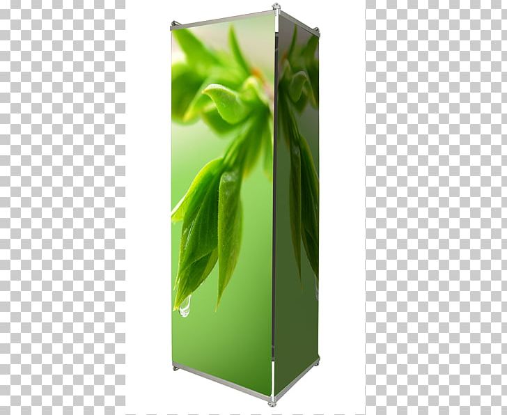 Web Banner Roll-up Banner Advertising Rectangle PNG, Clipart, Advertising, Aluminium, Green, Leaf, Logo Free PNG Download