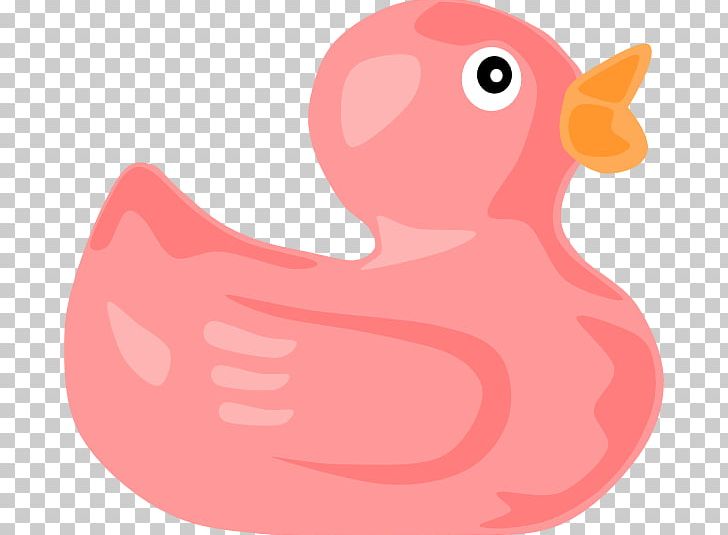 Baby Duckling Pink Rubber Duck PNG, Clipart, Anatidae, Animals, Baby Duckling, Beak, Bird Free PNG Download