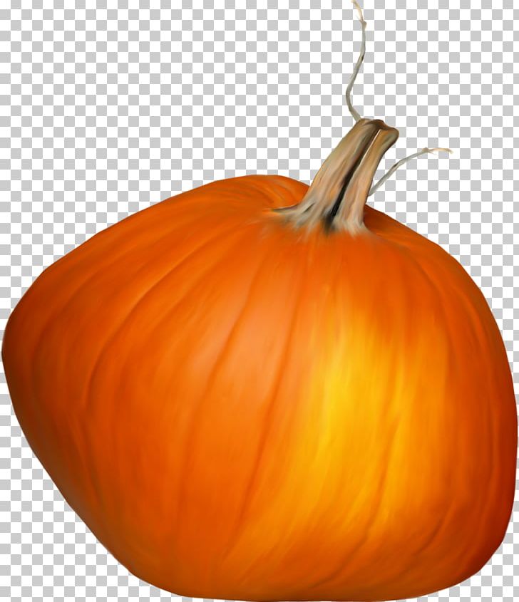 Calabaza Great Pumpkin Winter Squash Gourd PNG, Clipart, Beauty Salon, Calabaza, Carving, Cucumber Gourd And Melon Family, Cucurbita Free PNG Download