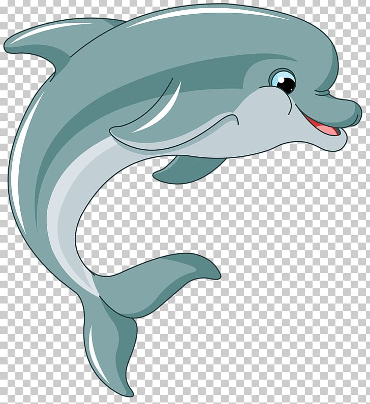 Dolphin Illustration PNG, Clipart, Animals, Bottlenose Dolphin, Cartoon, Child, Cute Dolphin Free PNG Download