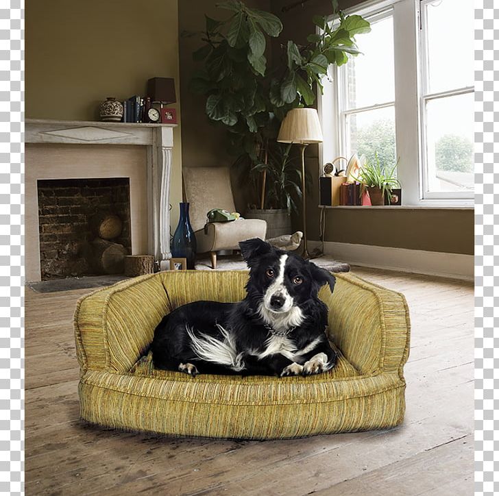 Tile Flooring Living Room Ceramic PNG, Clipart, Bed, Carpet, Ceramic, Chair, Charlie Dog Free PNG Download