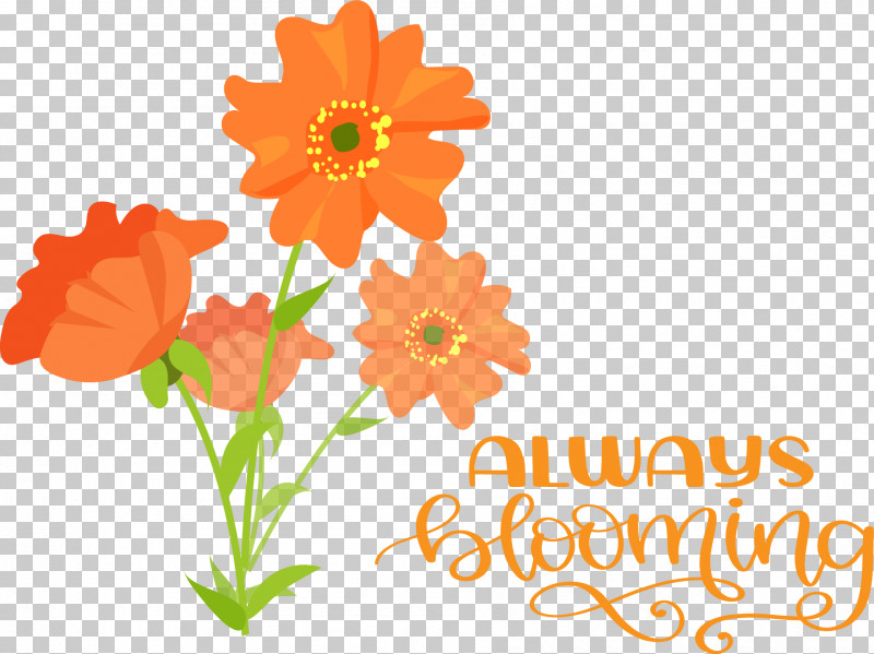 Floral Design PNG, Clipart, Cut Flowers, Drawing, Floral Design, Floristry, Flower Free PNG Download