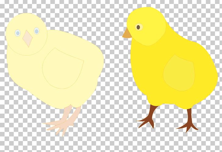 Chicken Duck PNG, Clipart, Beak, Bird, Chick Chick, Chicken, Computer Icons Free PNG Download